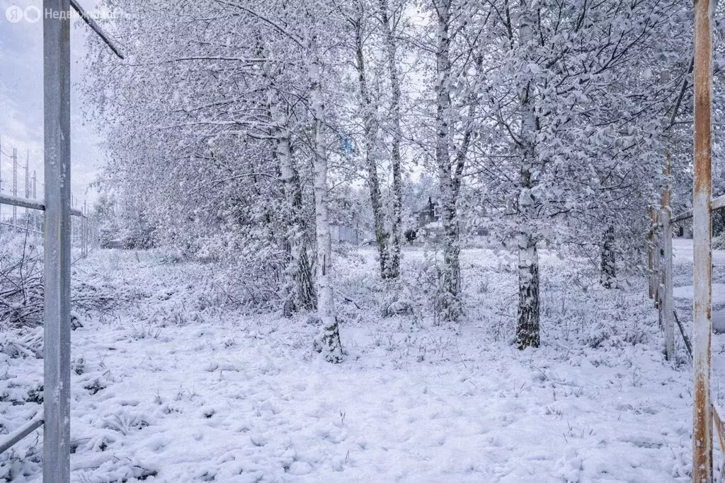Участок в Одинцовский городской округ, деревня Бородки (7.35 м) - Фото 2