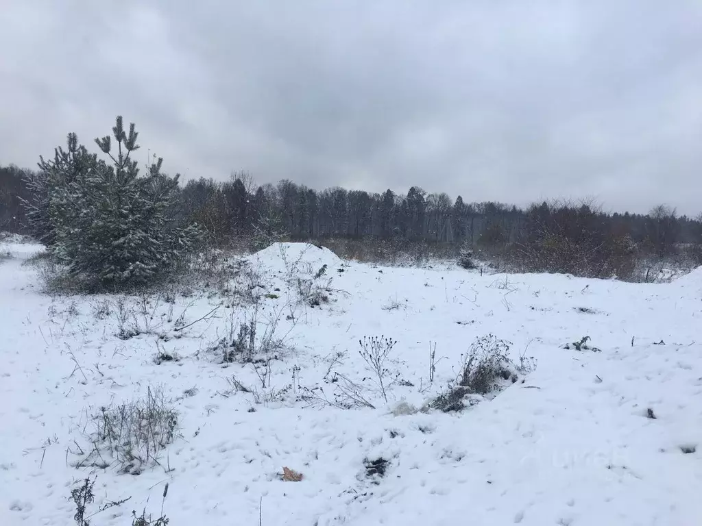 Участок в Московская область, Пушкинский городской округ, д. Цернское  ... - Фото 1