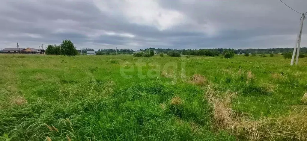 Участок в Вологодская область, Шекснинский муниципальный округ, д. ... - Фото 1