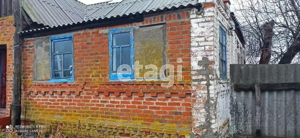 Дом в Белгородская область, Волоконовский район, с. Борисовка  (46 м) - Фото 1