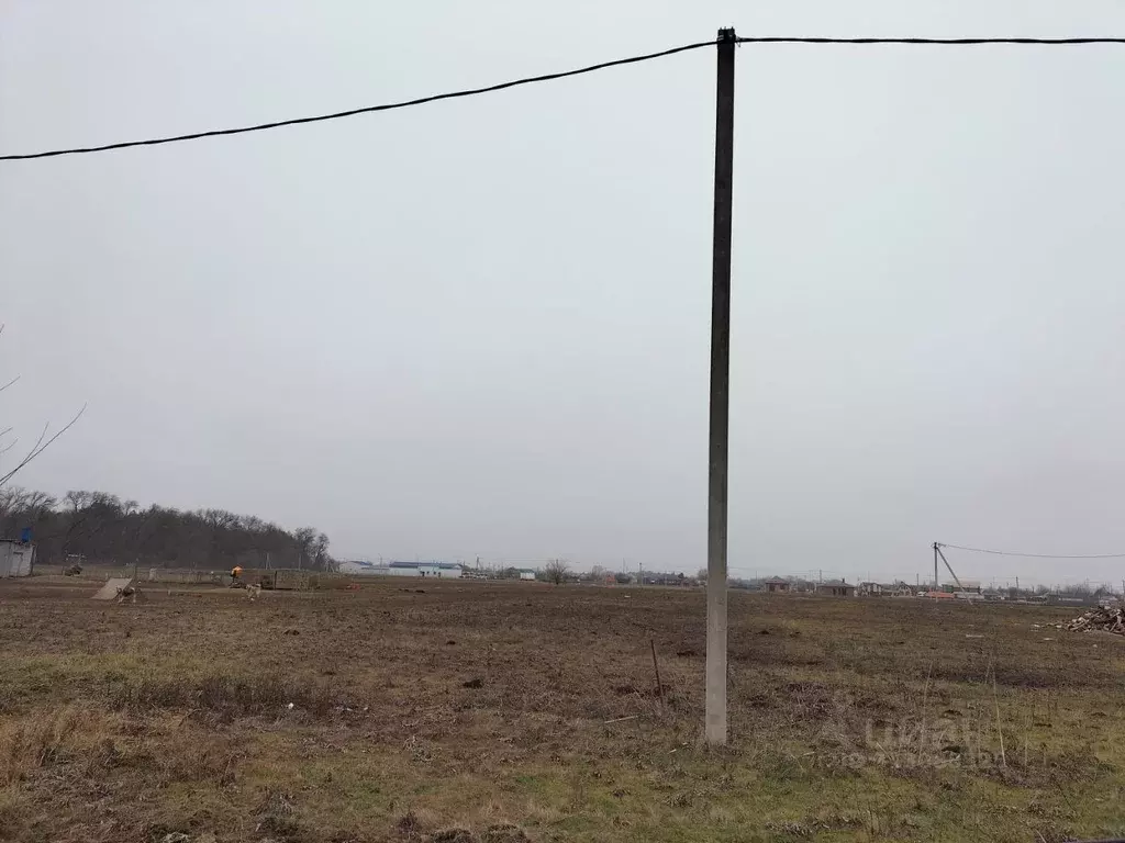Участок в Краснодарский край, Калининский район, Старовеличковское ... - Фото 1