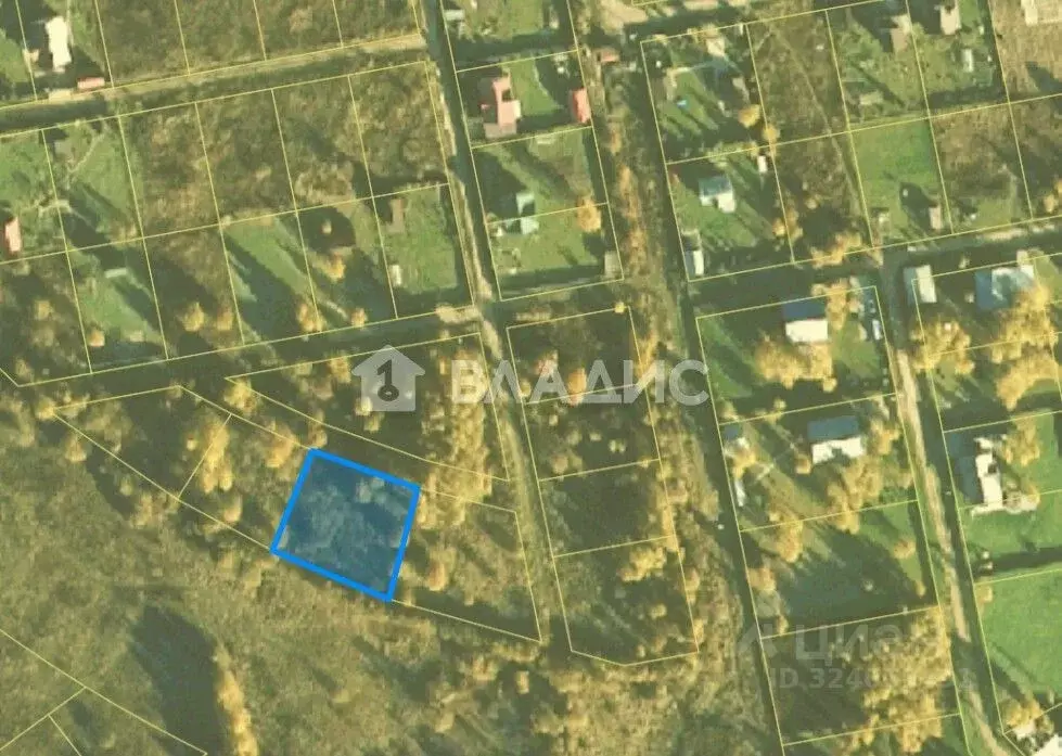 Участок в Владимирская область, Александровский муниципальный округ, ... - Фото 2