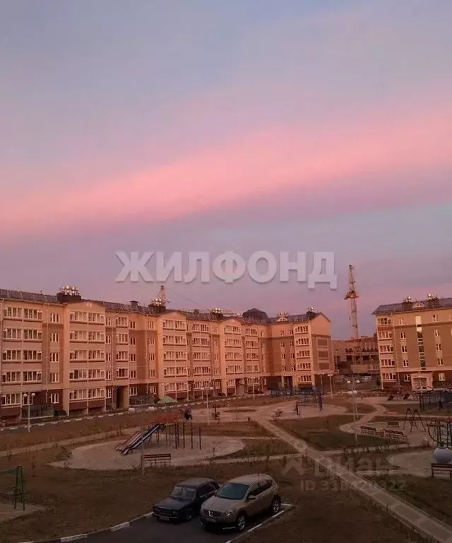 1-к кв. Белгородская область, Белгородский район, Разумное рп ул. ... - Фото 1