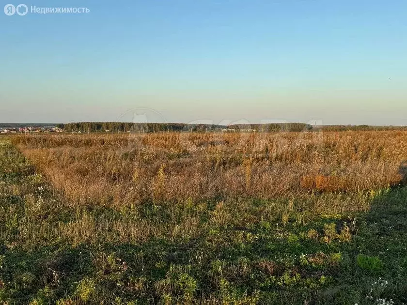 Участок в Червишевское муниципальное образование (8.4 м) - Фото 0