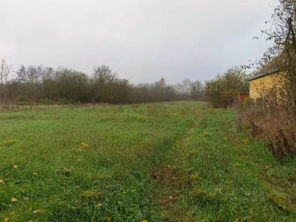 Участок в Краснодарский край, Северский район, Афипское городское ... - Фото 2