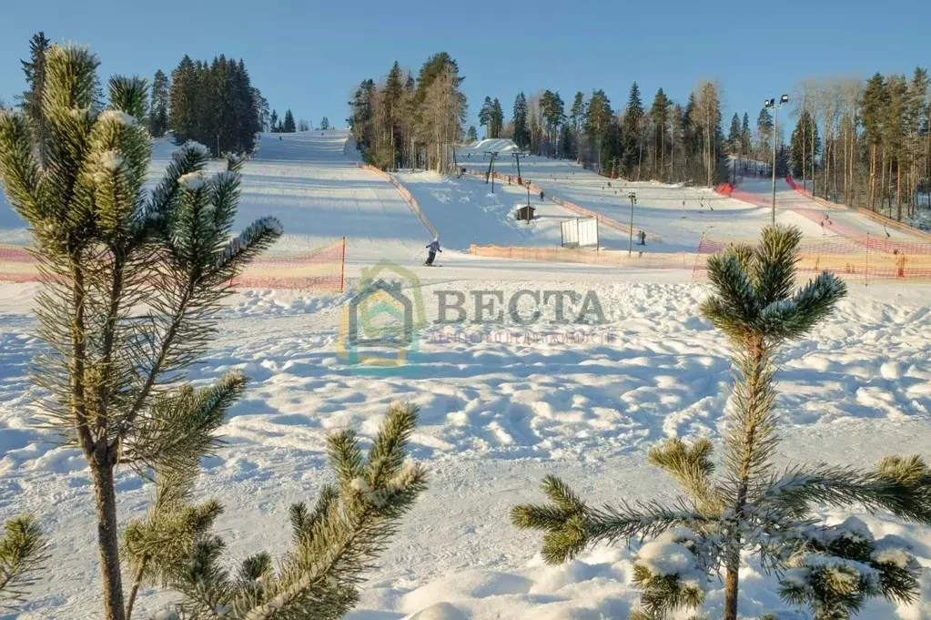 Участок в Ленинградская область, Выборгский район, Красносельское ... - Фото 1