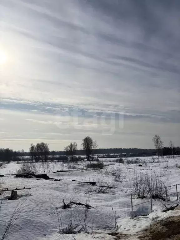Участок в Московская область, Дмитровский муниципальный округ, д. ... - Фото 1