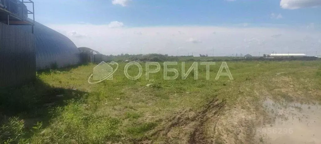 Участок в Тюменская область, Тюмень Казарово мкр, ул. Казаровская, 1 ... - Фото 0