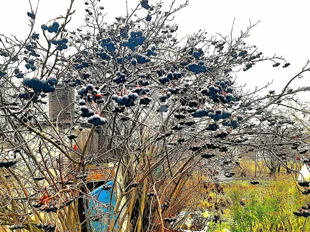Дом в Дядьково, 2-й Газетный переулок, 6 (74 м) - Фото 1