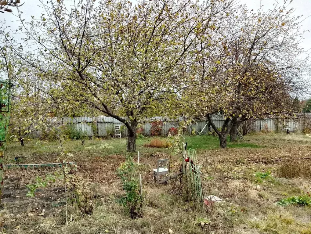 Дом в Саратовская область, Саратов Кумысная поляна СНТ, проезд 1-й ... - Фото 1