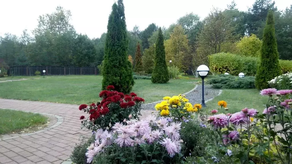 Дом в Псковская область, Невельский муниципальный округ, д. Опухлики  ... - Фото 1