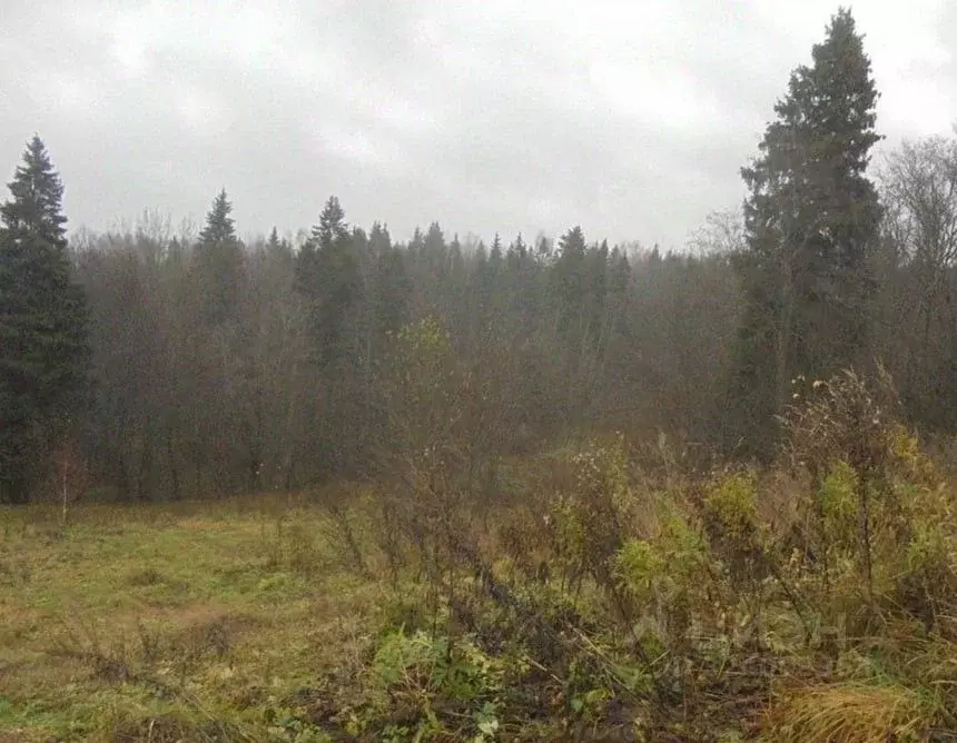 Участок в Московская область, Дмитровский муниципальный округ, д. ... - Фото 1