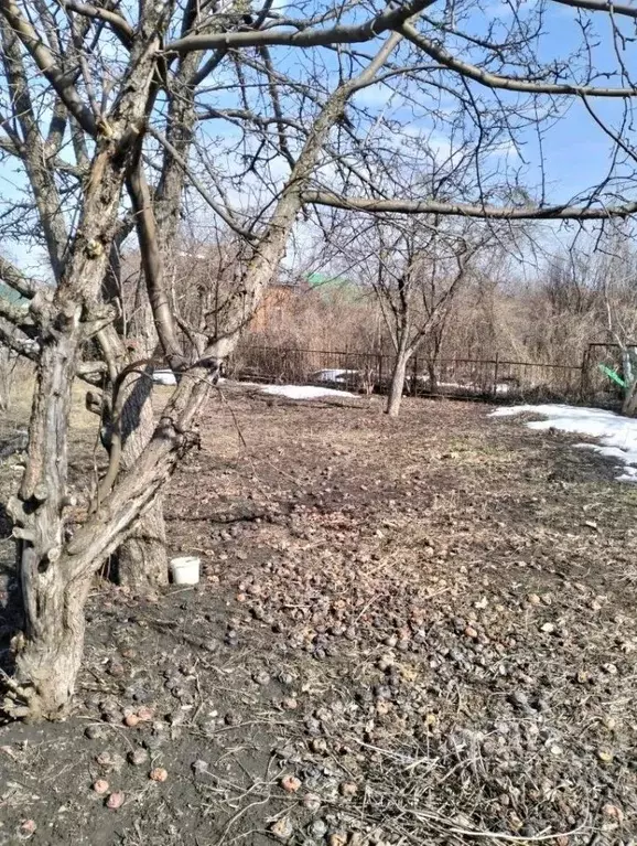 Участок в Самарская область, Ставропольский район, Тимофеевка с/пос, ... - Фото 2