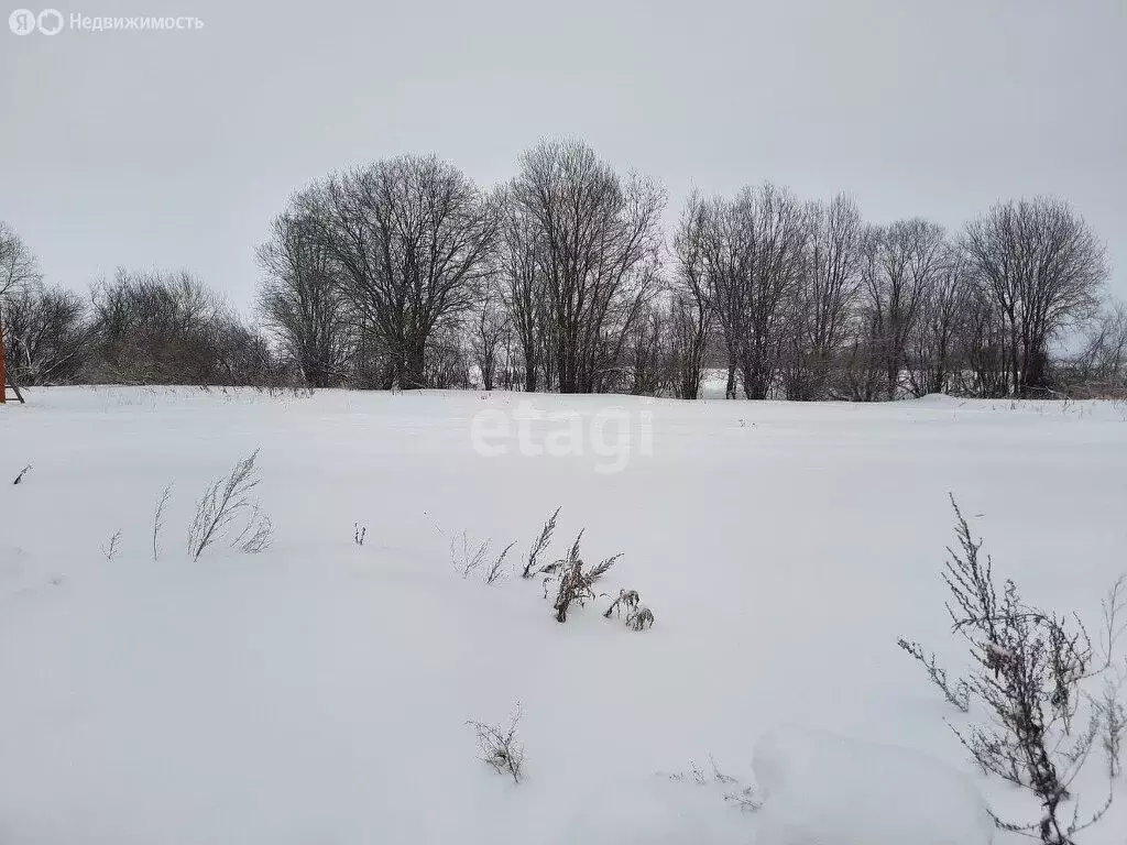 Участок в Ивняковское сельское поселение, садоводческое некоммерческое ... - Фото 1