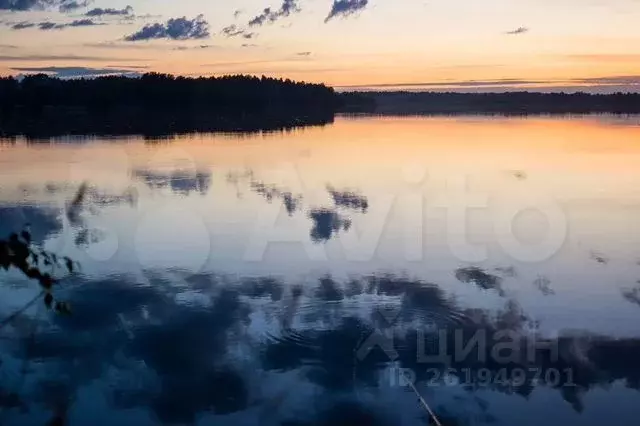 Участок в Псковская область, Невельский муниципальный округ, д. ... - Фото 1