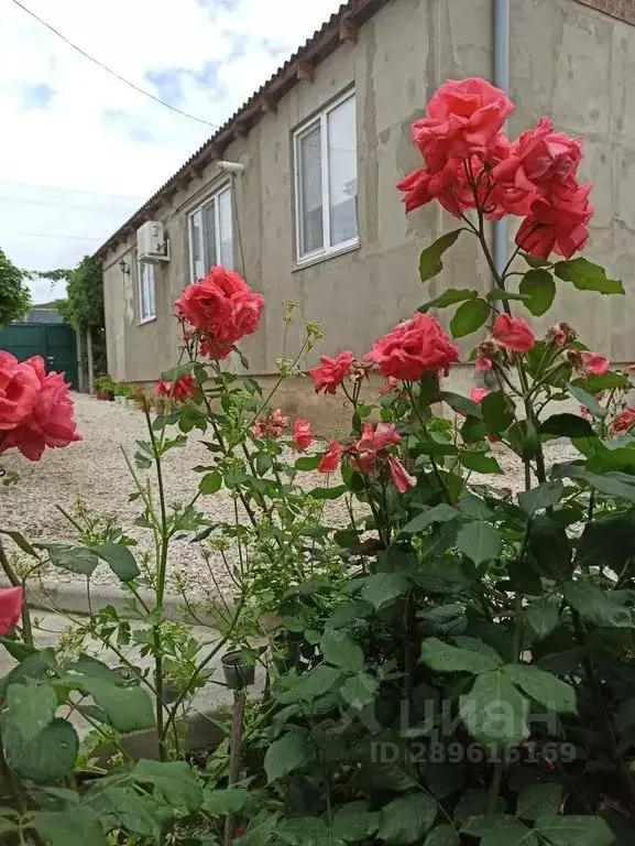 Дом в Крым, Судак Ветеран садовое товарищество, ул. Родниковая, 24 ... - Фото 0