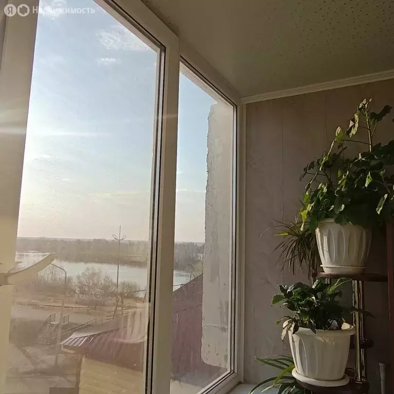 2-комнатная квартира: Курган, Солнечный бульвар, 6 (50 м) - Фото 2
