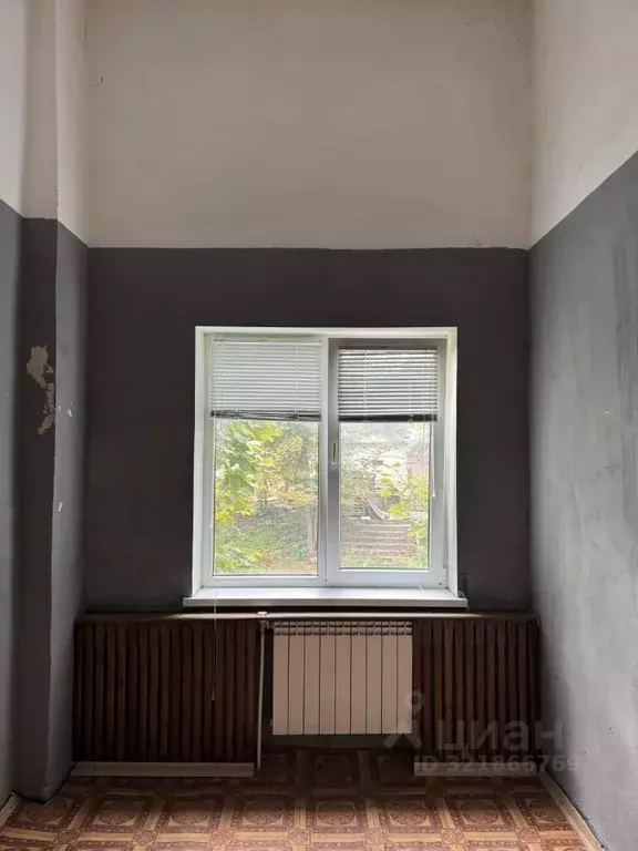Помещение свободного назначения в Псковская область, Псков ул. ... - Фото 0
