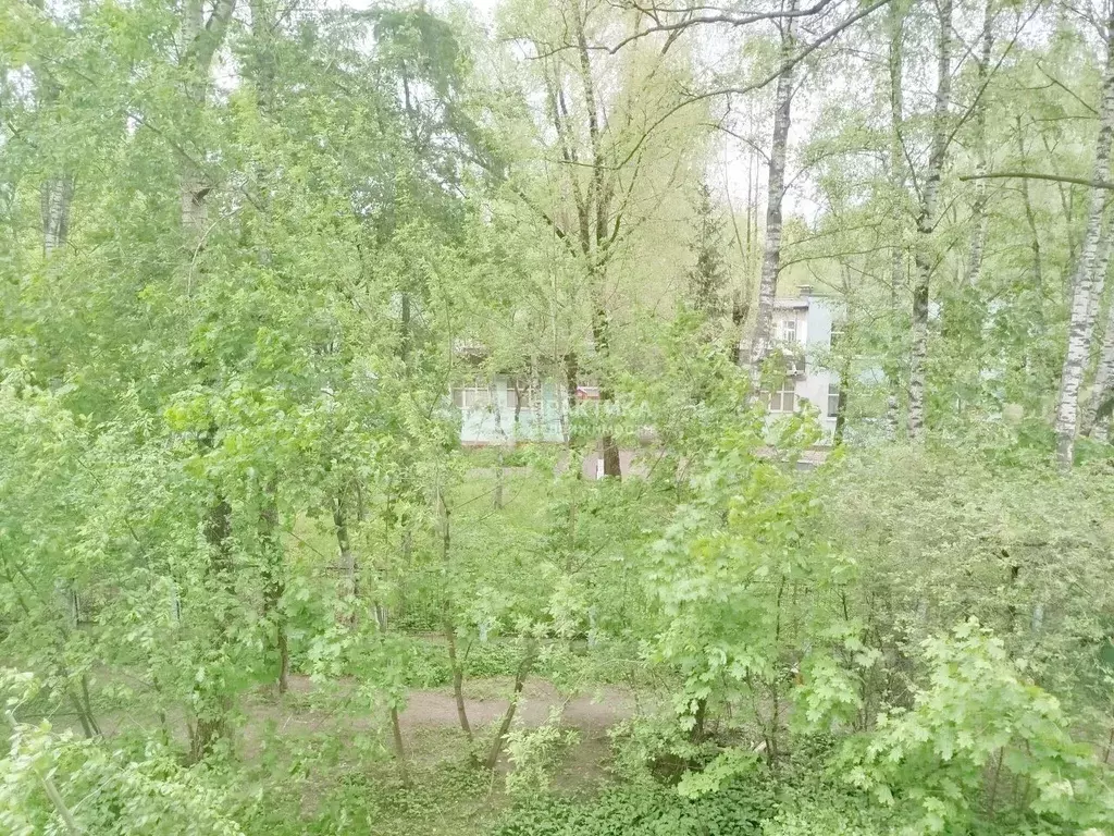 1-к кв. Московская область, Лыткарино 4-й мкр, 4А мкр, 1 (46.0 м) - Фото 0