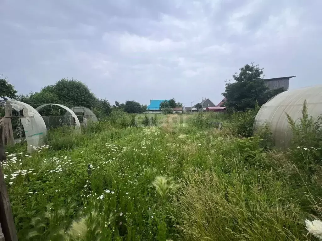 Участок в Курганская область, с. Кетово ул. Сиреневая (12.0 сот.) - Фото 1