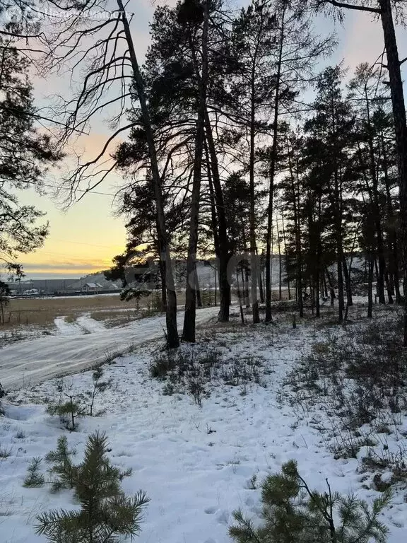 Участок в Якутск, территория Баал Заимката, улица Сайдыы (12 м) - Фото 2