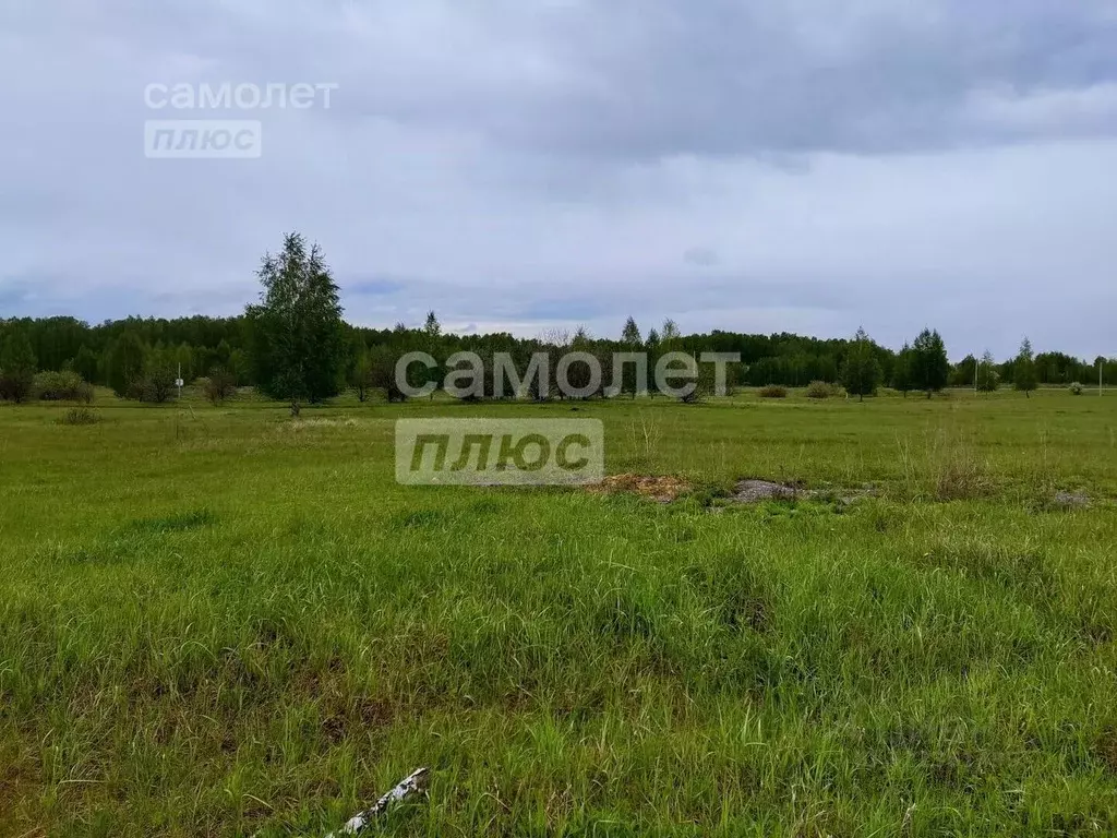 Участок в Челябинская область, Сосновский муниципальный округ, пос. ... - Фото 1