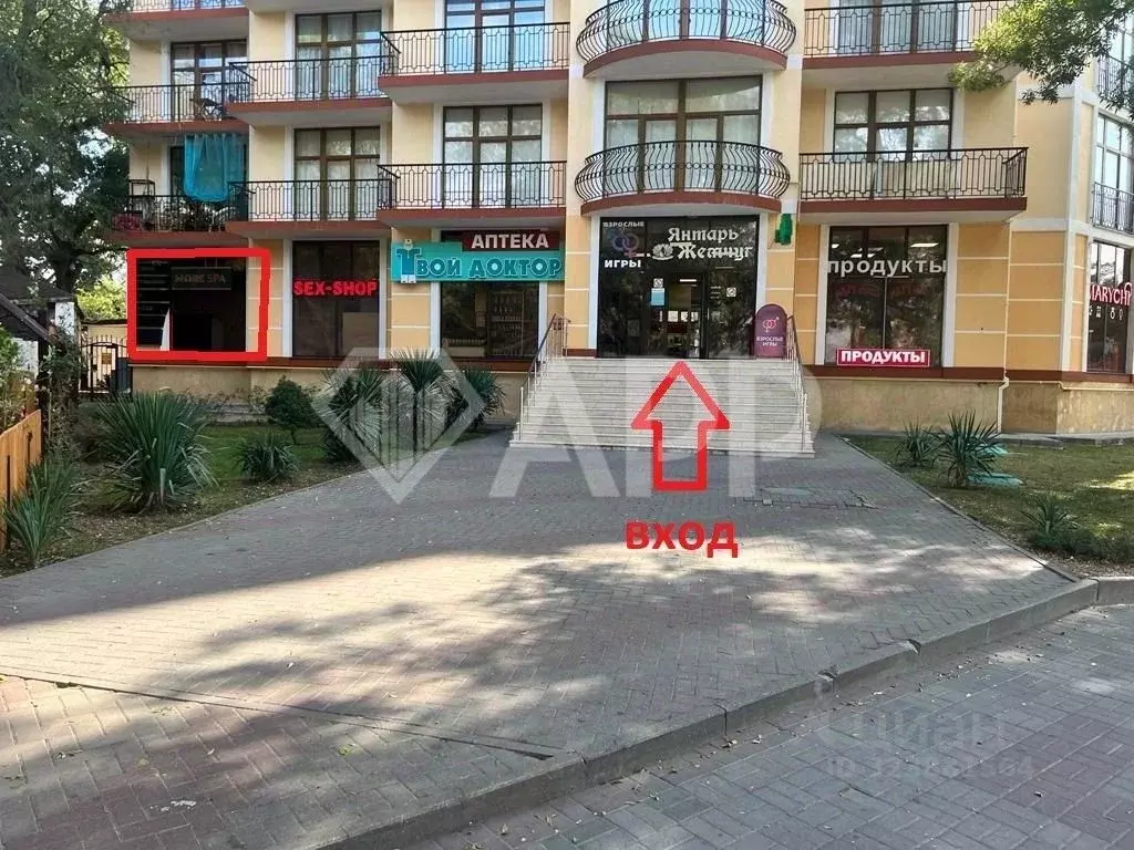 Помещение свободного назначения в Краснодарский край, Геленджик ... - Фото 1