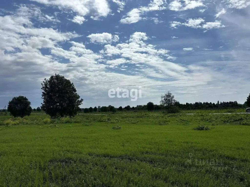 Участок в Ленинградская область, Волосовский район, Большеврудское ... - Фото 0