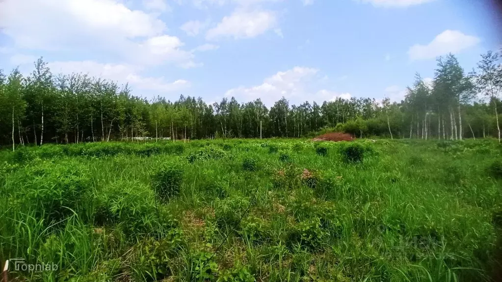 Участок в Калужская область, Калуга  (10.0 сот.) - Фото 2