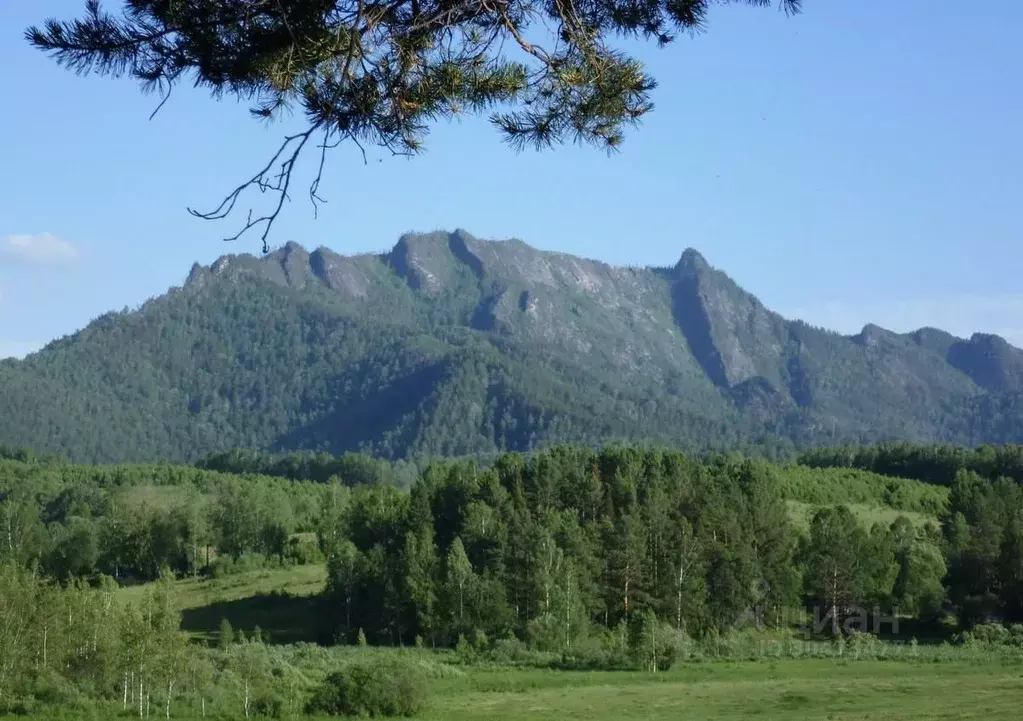 Участок в Алтай, Турочакский район, с. Турочак Нагорная ул. (15.0 ... - Фото 0