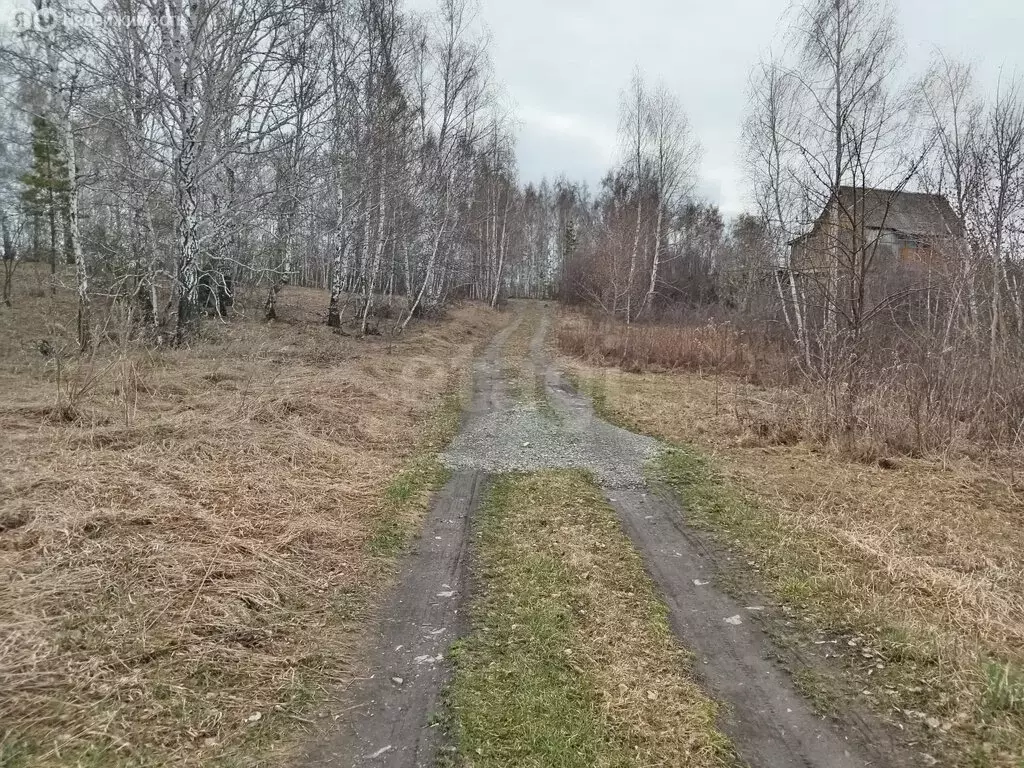 Дом в Челябинская область, Каслинский муниципальный округ, СНТ Ручеёк ... - Фото 2