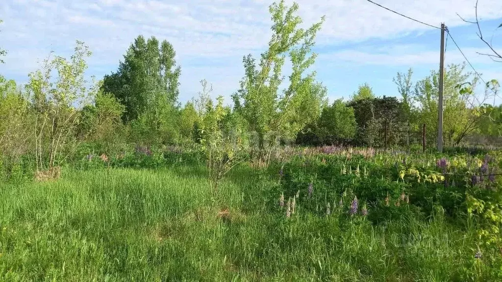 Участок в Башкортостан, Иглинский район, Калтымановский сельсовет, ... - Фото 1