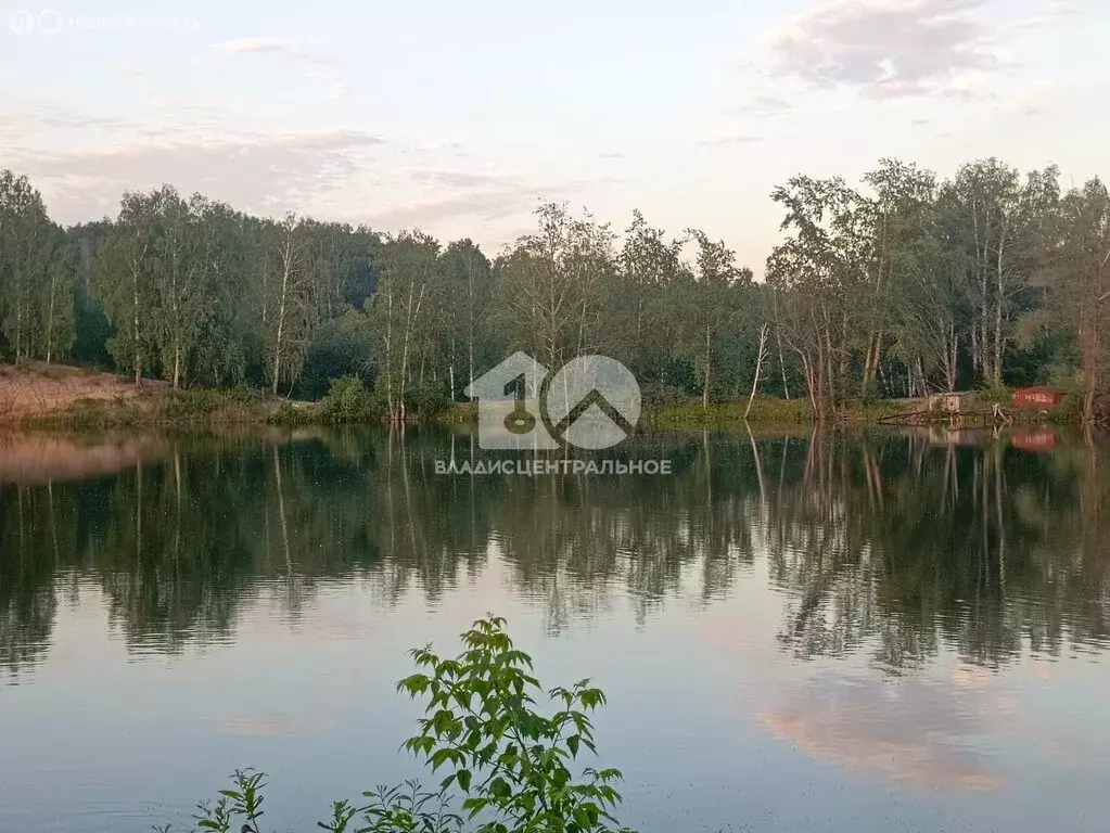 Дом в Новосибирск, садовое товарищество Сибиряк (30 м) - Фото 1