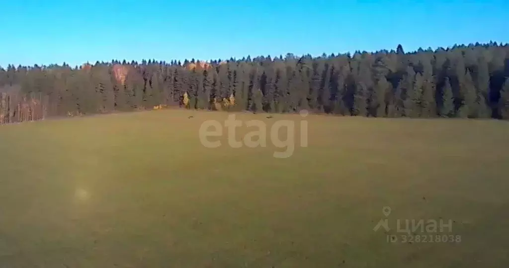 Участок в Пермский край, Пермский муниципальный округ, с. Лобаново ул. ... - Фото 2