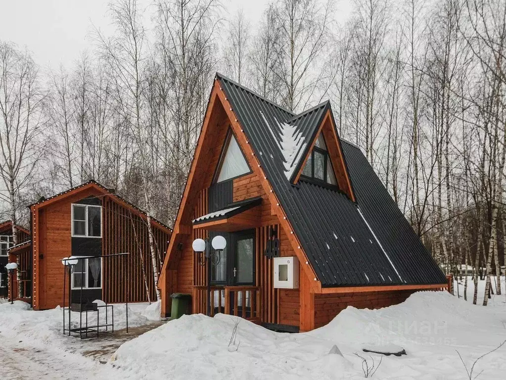 Дом в Московская область, Щелково городской округ, д. Гребнево 1 (47 ... - Фото 1