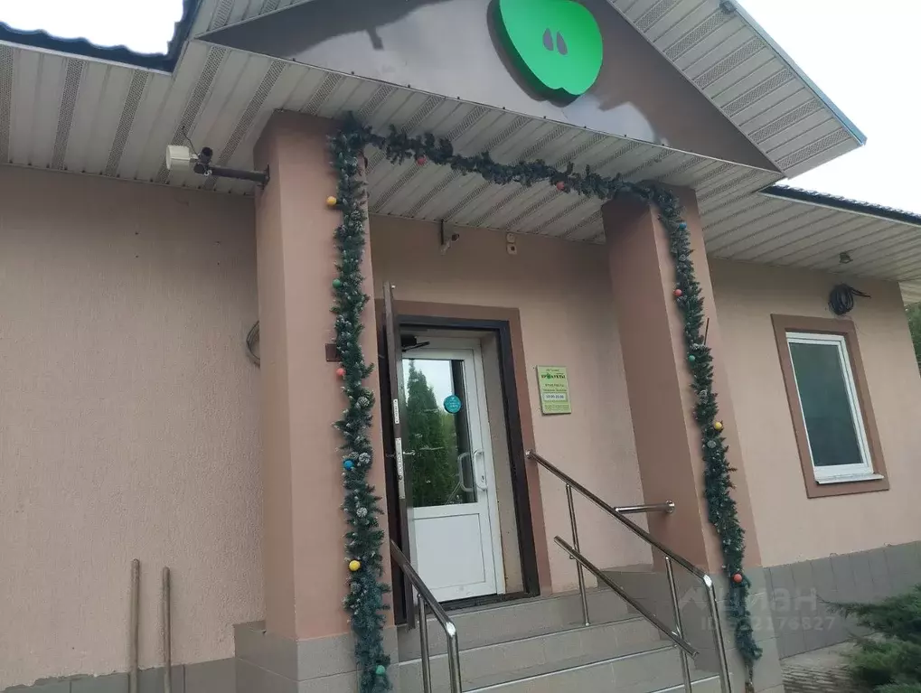 Торговая площадь в Московская область, Серпухов городской округ, ... - Фото 1