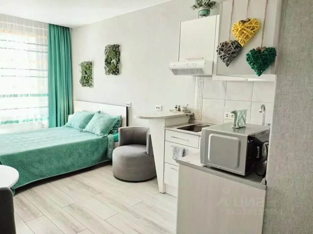 1-к кв. Алтайский край, Барнаул ул. Шумакова, 11 (26.0 м) - Фото 1