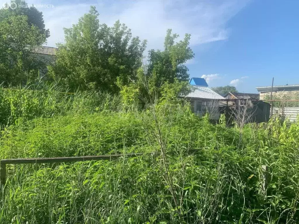 Участок в Барнаул, улица Гоголя (8 м) - Фото 2