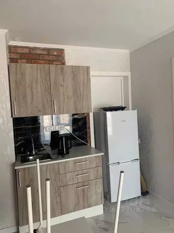 1-к кв. Крым, Сакский район, Штормовское с/пос, с. Поповка ул. ... - Фото 2