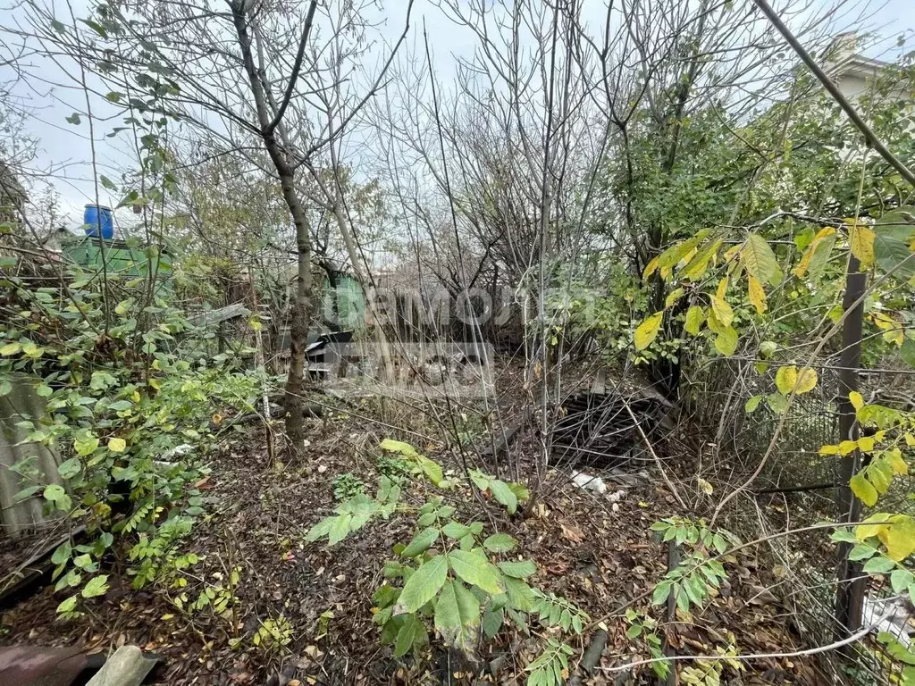 Дом в Краснодарский край, Новороссийск Щедринская ул., 14 (40 м) - Фото 1