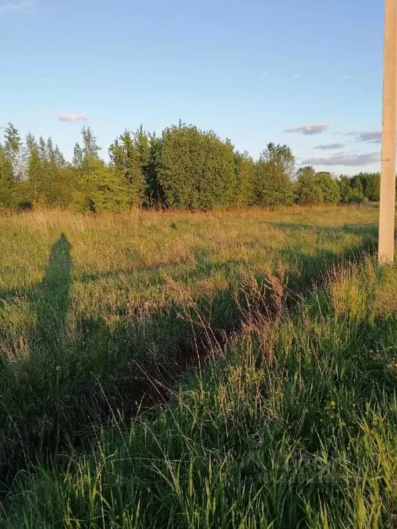 Участок в Новгородская область, Новгородский район, Бронницкое с/пос, ... - Фото 1