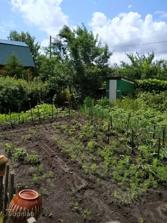 Дом в Тамбовская область, Тамбов Фестивальное СНТ,  (26 м) - Фото 2