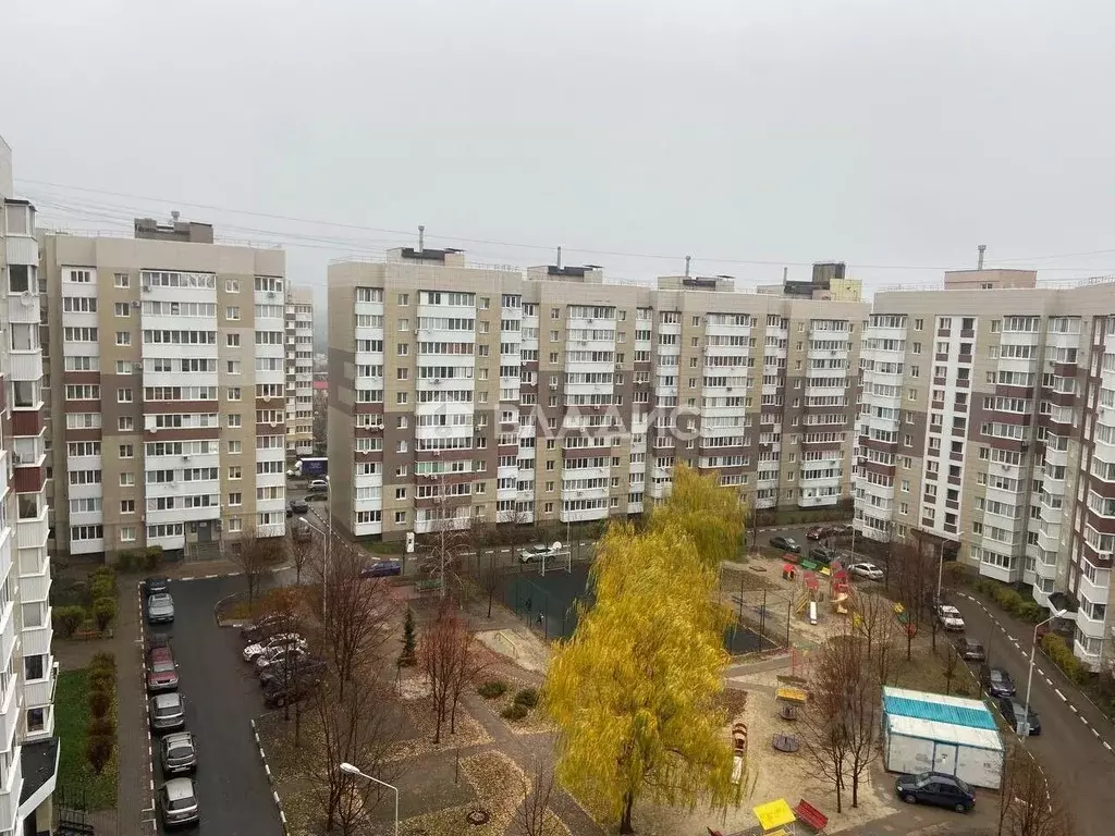 1-к кв. Белгородская область, Белгород бул. Строителей, 47 (33.8 м) - Фото 2