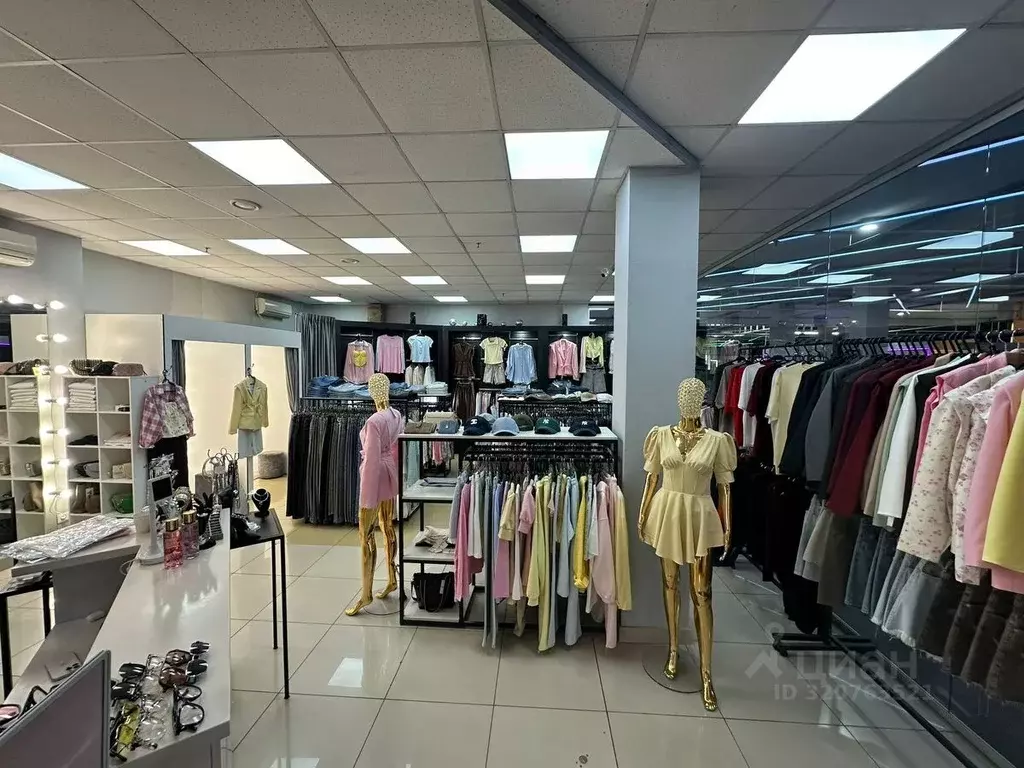 Торговая площадь в Новосибирская область, Новосибирск Советская ул., ... - Фото 2