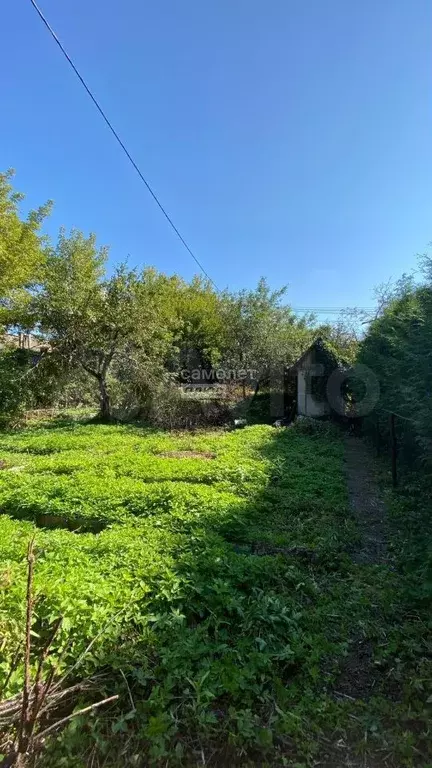 Участок 5,9 сот. (СНТ, ДНП) - Фото 0