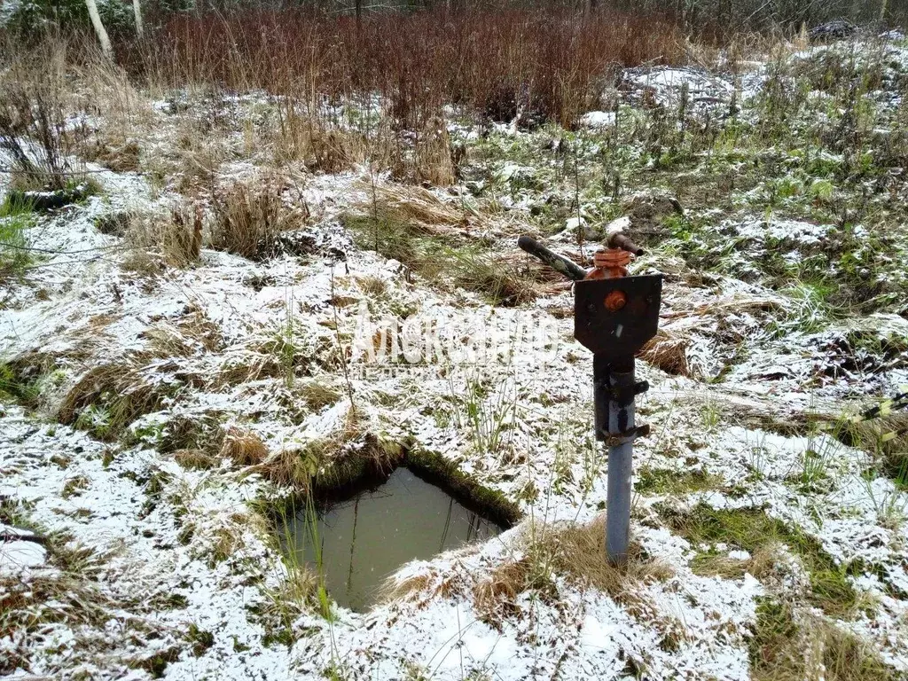 Участок в Ленинградская область, Приозерский район, Кузнечнинское ... - Фото 1