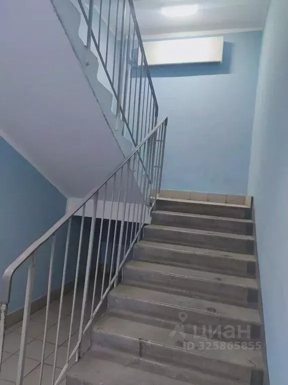 2-к кв. Московская область, Пушкино ул. Просвещения, 11к1 (49.0 м) - Фото 2