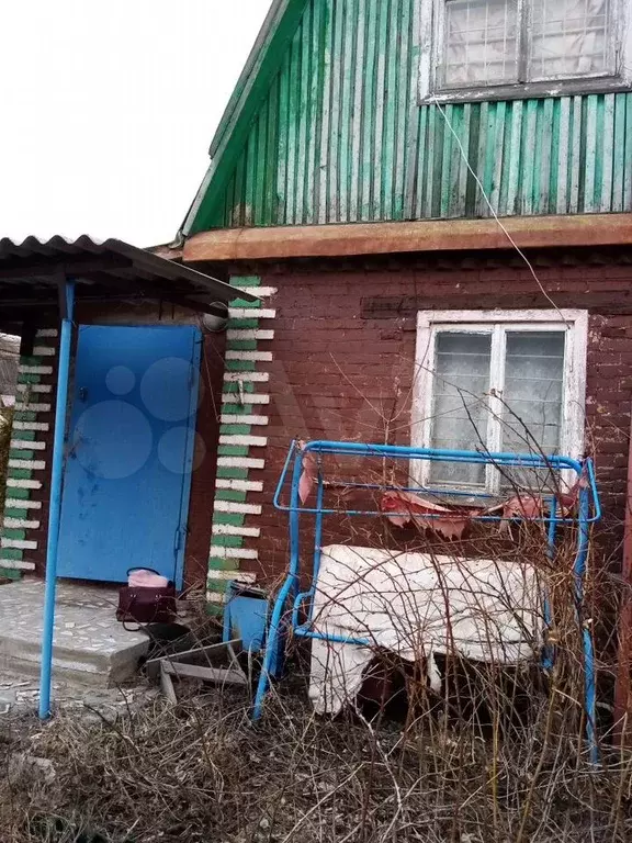 Дача 31,1 м на участке 4,95 га - Фото 0