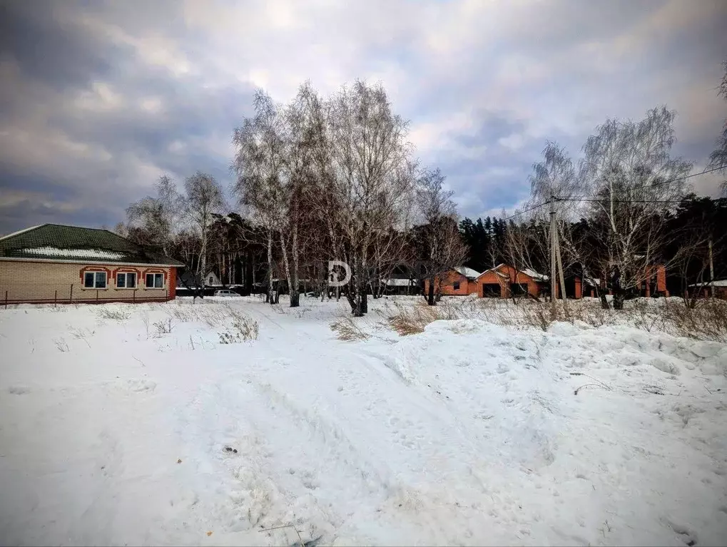 Участок в Алтайский край, Барнаул городской округ, с. Власиха ул. ... - Фото 1