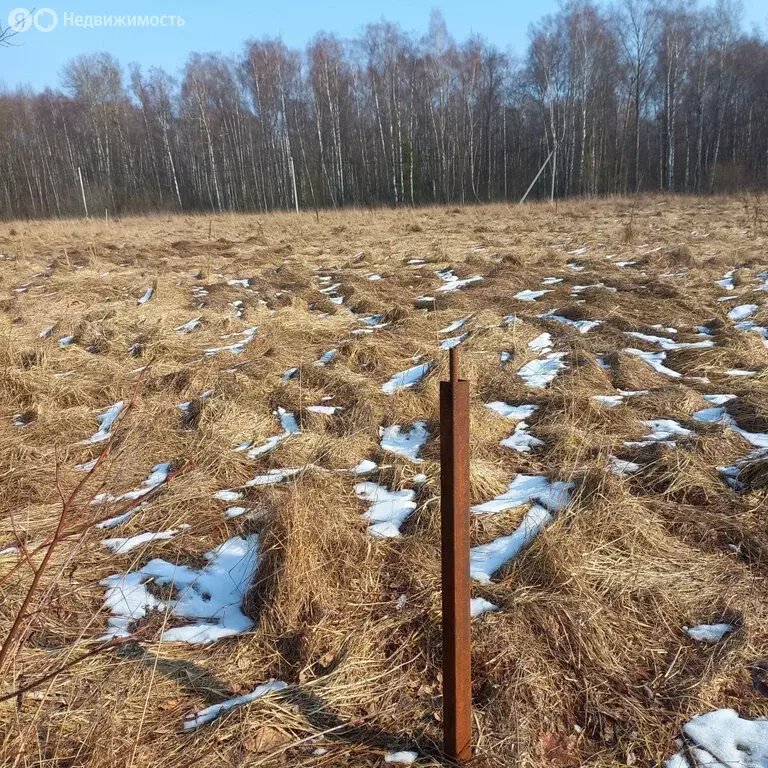 Участок в Московская область, городской округ Серпухов (10.87 м) - Фото 0